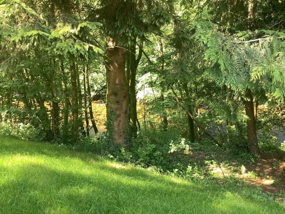 ホテル Little London Bed & Breakfast And Glamping Pod Abercraf エクステリア 写真